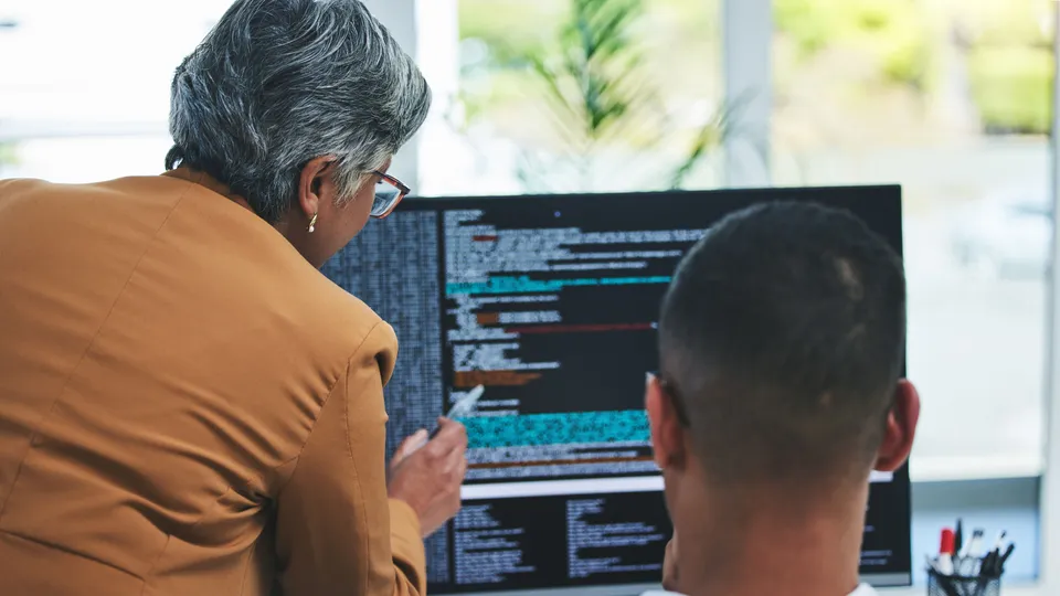 Illustrative photo: One developer explaining code on a screen to a colleague.